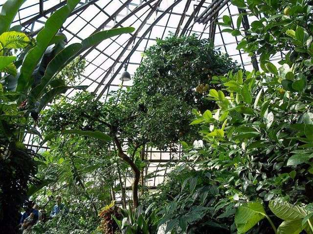 Lincoln Park Conservatory, Today