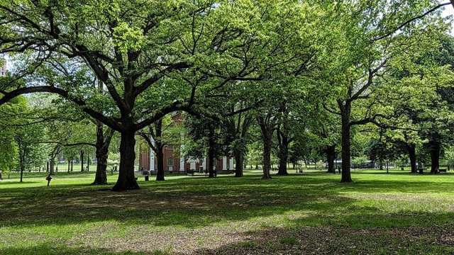 New Haven Green today
